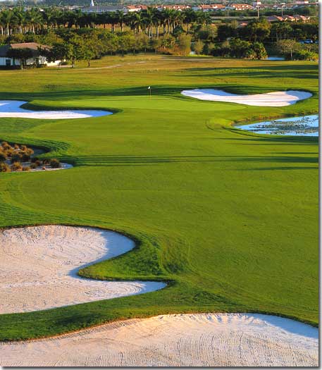 Photo of TPC Heron Bay