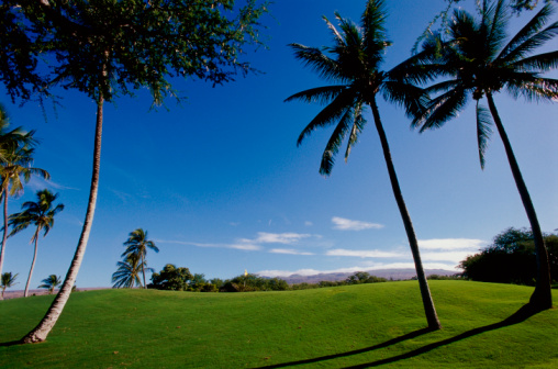 Photo of Tatum Ridge Golf Links