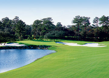 Photo of Diamondback Golf Club
