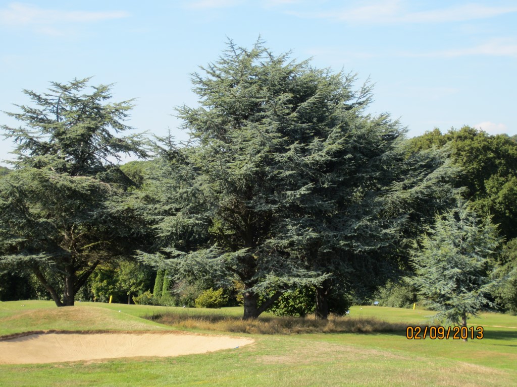 Photo of Highwoods (Bexhill) Golf Club