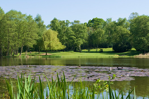 Photo of Silvermere Golf Club