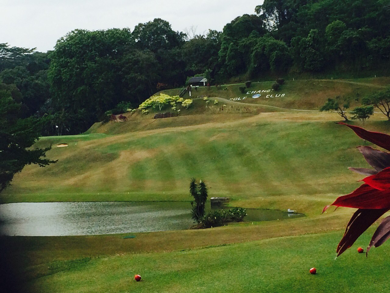 Photo of Changi Golf