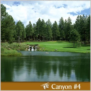 Photo of Forest Highlands Golf Club