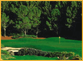 Photo of Shadow Creek Golf Course