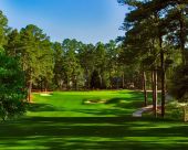 Photo of Pinehurst Resort